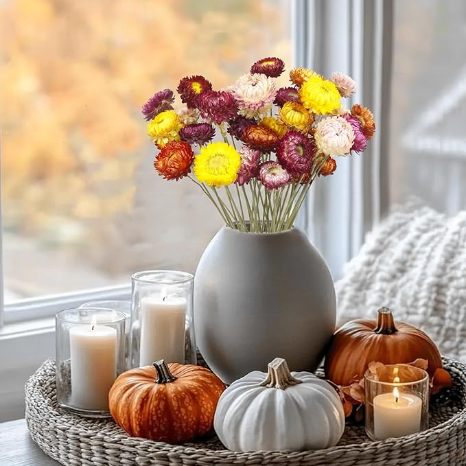 20 Pcs Natural Dried Daisy Flowers Bouquet Dried Flower Multicolor Daisies Dried Sunflowers Chrysanthemum Dry Flower with Stem for Wedding Farmhouse Table Vase Decor Home DIY Floral Arrangement