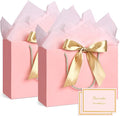 JMANNI Medium Size Gift Bags - 2Pcs Paper Gift Bag with Handles, 4 Tissue Paper & 2 Greeting Cards for Women, Girls, Bridesmaid, Birthday, Valentines, Wedding, Party (Pink)