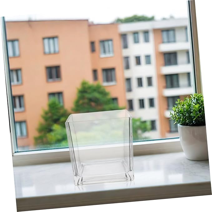 NUOBESTY Clear Thickened Square Glass Vase for Hydroponic Plants Modern Decorative Flower Container Smooth Touch Table Centerpiece for Home and Office