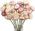 20 Pcs Natural Dried Daisy Flowers Bouquet Dried Flower Pink Daisies Dried Sunflowers Chrysanthemum with Stem for Wedding Farmhouse Table Vase Decor Home DIY Flower Arrangement