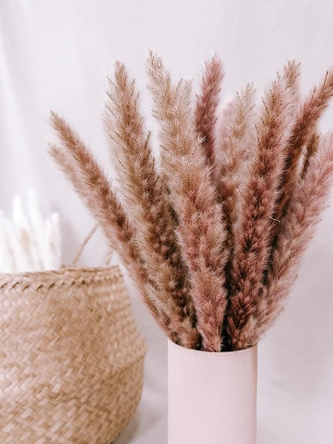 30 Pcs Pampas Grass ,17.7 inch/45cm Natural Dried Pampas Grass Branches Decor for Home Kitchen Garden Party Photographing Flower Arrangement Vase Decor (Natural)