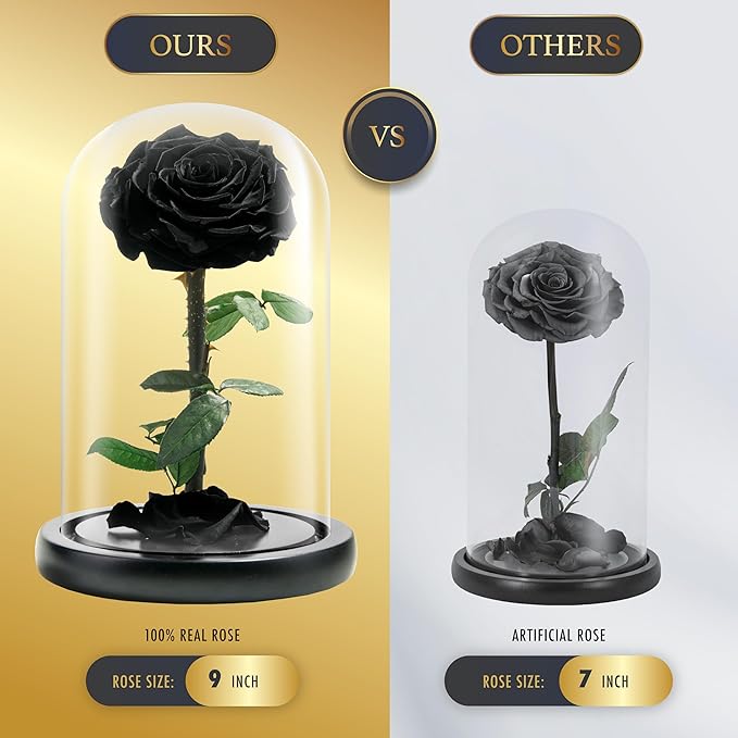 Forever Preserved Rose - Eternal Rose in Glass Dome - Beauty and The Beast Rose for Mom - Fresh Flowers (Black, 9 inch)