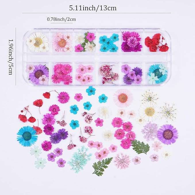 60Pcs Small Dried Pressed Flowers for Crafts,Xinxinran Tiny Dry Flower Kit for Nail Art,Epoxy Resin Accessories,Bookmark,Nails, Jewelry Making,Candle,Soap,Resin Molds(1 Boxs)