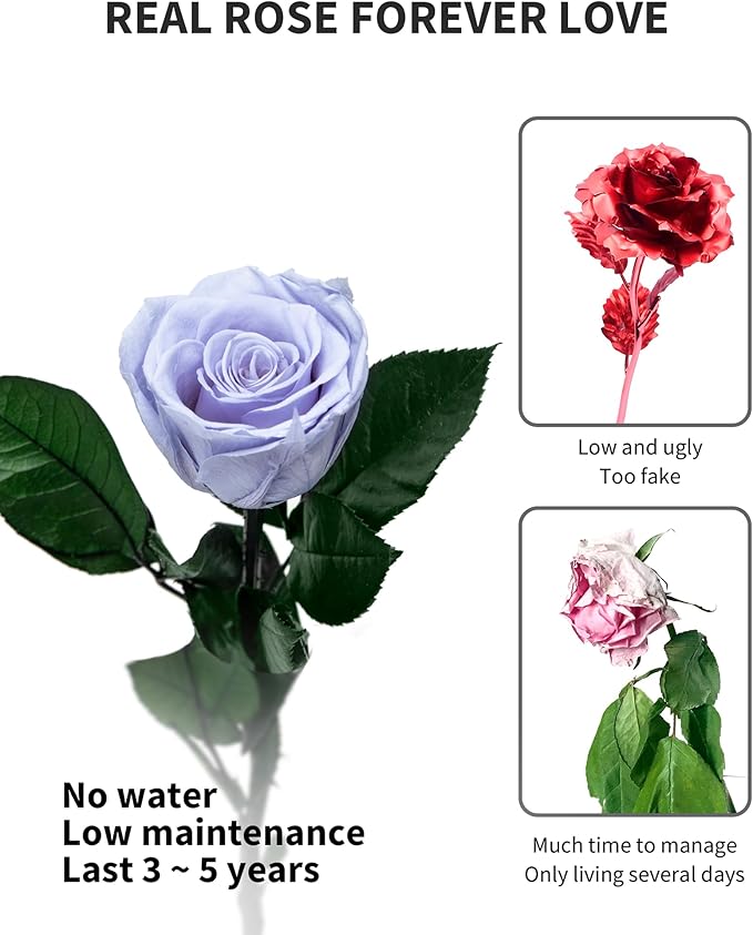 Blue Flowers for Delivery Prime, Preserved Blue Roses Flower Gifts for Women, Real Roses Single Rose Gifts for Her, Mom Birthday Gifts from Daughter, Solid Lilac Roses