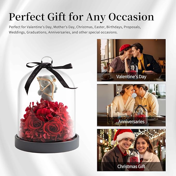 SEEROSE Preserved Rose with Cupid Bear in Glass Dome, Eternal Real Rose Romantic Gift for Her, Women, Mom, Wife, Girlfriend, Valentine’s Day, Mother’s Day, Christmas, Birthday (Cupid Bear, Red)