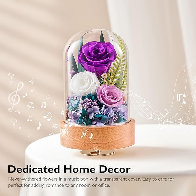 Eterfield Flowers for Delivery Prime, Christmas Preserved Roses Gifts for Women - Forever Flower in Glass Dome Birthday Gifts for Mom Wife Grandma Her Valentine’s Day (Purple, Cylindrical)