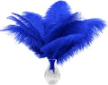Piokio 20 pcs Natural Blue Ostrich Feathers 12-14 inch(30-35 cm) Bulk for Wedding Party Centerpieces and DIY Clothes Decoration, Gatsby Decorations