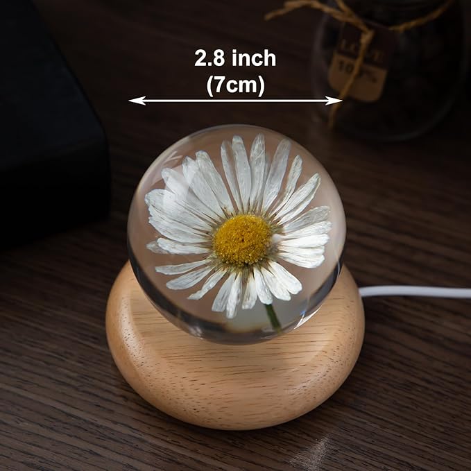 Flower Crystal Ball Night Light,2.75 inch Glass Ball Night Lamp with Woodern Base (Leucanthemum)