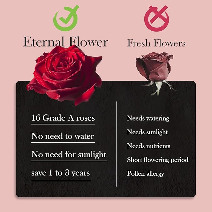 40 Real Preserved Roses in Suede Box Forever Roses Last Up to 3 Years, Flowers for Delivery Prime, Mother’s Day, Birthday, Christmas - Pink