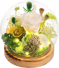 Preserved Flowers, Unique Rose flower Gifts Preserved Flower Gifts in Glass Dome for Women, Mom, Girlfriend and wife,Home Decor Gifts for Birthday, Mother’s Day, Anniversary, Christmas, Wedding.