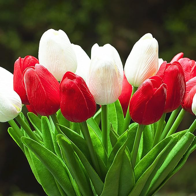 ENOVA FLORAL 20 Heads Real Touch Artificial Tulips Flowers with Vase, Mixed White and Red Tulips Flower Arrangements with Vase for Home Wedding Decor, Dining Table Centerpieces (White Red)
