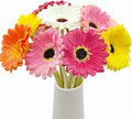 15 Pcs Artificial Gebera Daisies Flowers Fake Daisy Real Touch PU Faux Flowers Bouquet for Indoor Home Arrangements Vase Wedding Party Table Centerpiece DIY Floral Decor