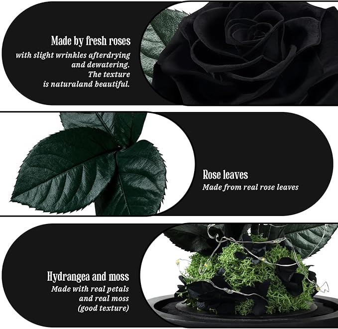 3 Preserved Flowers Roses in Glass Dome with Light for Beauty and The Beast Decor Real Rosas Eternas for Women Mom Birthday,Forever Black Roses for Delivery, Christmas for Wife Girlfriend Her