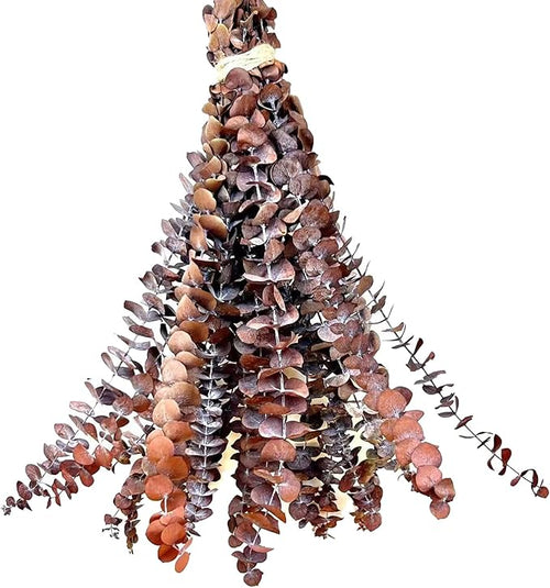 (20Pcs) Dried Eucalyptus Stems - Red, Fall Decorations for Home, Real Long Eucalyptus, Dried Flowers for Vase, 17" Floral Arrangement, Wedding (Orange)