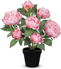 Hollyone Pink Fake Peonies Artificial Flowers in Pot 16.9" Small Peonies Tree Indoor Outdoor Faux Plants & Flowers Peony Silk Flowers Potted Plant Artificial Peony Floral Arrangement Desk Home Decor
