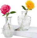 Glass Vase Bud in Bulk Set of 2,Vintage Flower Bottle Small Bud Vases for Floral Arrangements, Home Decor,Wedding Centerpiece,Table Decor,Decorative Centerpiece,Dinning(Set of 2)