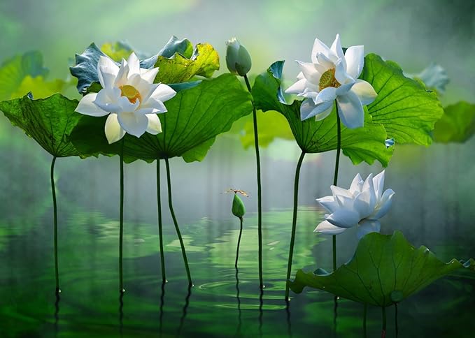 BELECO 15x8ft Fabric Lotus Flower Backdrop Lotus Garden Blooming White Lotus Flowers Pond Background Wall Decor Photo Booth Shoot Studio Props Wallpaper
