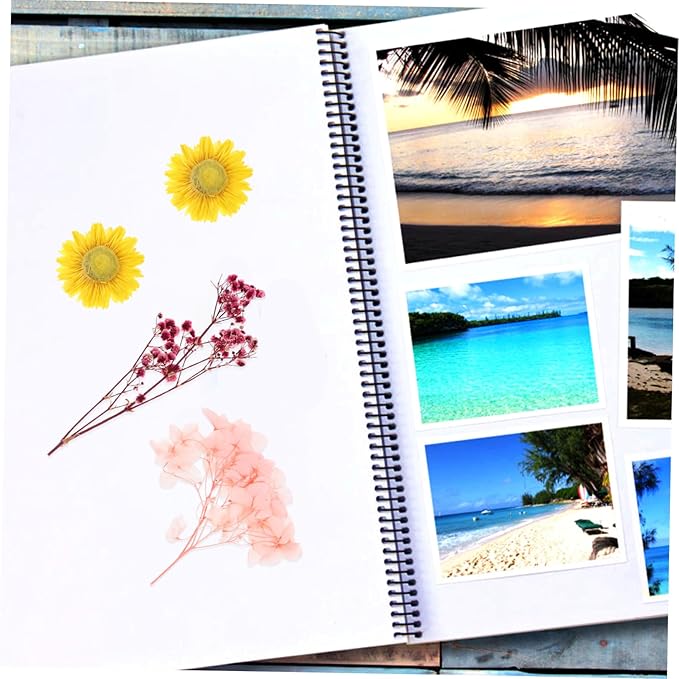 Natural Dried Flowers DIY Craft Kit Real Flower Bouquet Accessories for Photo Frame Making Floral Decorations for Wedding Home Party and Interior Styling