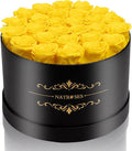NATROSES 27 Piece Forever Preserved Roses in a Box, Preserved Flowers for Delivery Birthday, Flowers Gifts for Mothers Day, Yellow