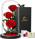 Forever Rose in Glass Dome,12.3 Inch Preserved Real Roses Gift, Long Lasting Eternal Flowers for Women, Mom, Wife, Valentine's Day, Anniversary, Red
