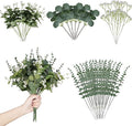 Artificial Eucalyptus Leaves Stems 120 Pcs 4 Kinds Mixed Fake Silver Dollar Eucalyptus Leaves Stem with Babysbreath Bulk Faux Leaf for DIY Bouquets Floral Arrangement Wedding Home Decor