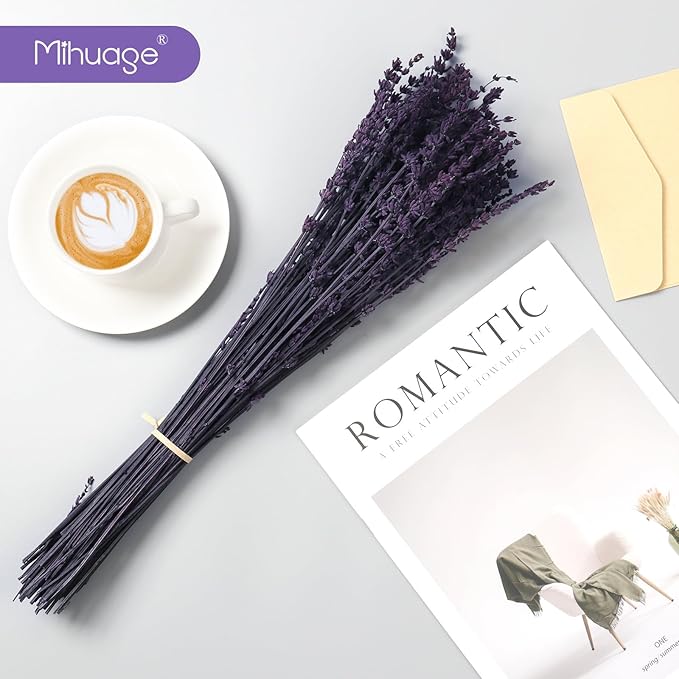 Dried Preserved Lavender Flowers - 2 Bundles with 3.5oz for Home Decor, DIY Arrangements, Photo Props, & Fragrance - 15"-17", Purple Lavender Bunches.