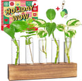 KAXYEW Plant Propagation Station, Plants Propagation Tubes, Gifts for Plant Lovers, Plants Cutting Holder Test Tube Vase Office Desk Garden Décor Gift for Her Mom Women Hydroponic Vase New Gift Box
