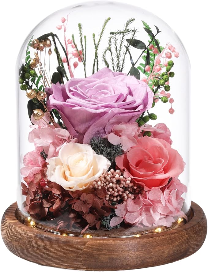 Flowers for Delivery Prime Preserved Flowers Lilac Roses with LED Light in a Glass Dome,Long Lasting Real Roses Birthday Gifts for Women Daughter Mom Wife Friend（Lilac Rose）