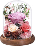Flowers for Delivery Prime Preserved Flowers Lilac Roses with LED Light in a Glass Dome,Long Lasting Real Roses Birthday Gifts for Women Daughter Mom Wife Friend（Lilac Rose）