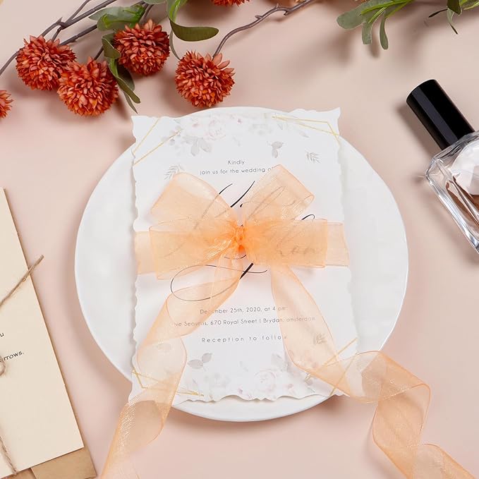 Orange Ribbon for Gift Wrapping 1 inch Sheer Organza Ribbon for Flower Bouquet Tulle Thin Chiffon Ribbons for Wedding Invitations Presents Decorations Crafts 50 Yards