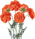 6Pcs Orange Ranunculus Artificial Flowers 19.7’’ Silk Ranunculus Flowers Fake Peonies with Stems for Home Wedding Dining Table Party Garden Decoration(Orange)