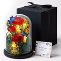 Preserved Rose with Butterfly, LED Forever Flowers in Glass Dome, Eternal Flowe for Women, Birthday Gifts for Mom Friend, Includes Greeting Card & Luxury Gift Box (Red)