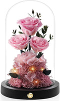 Flowers Roses Gifts for Mom Grandma,Forever Preserved Rose in Glass Dome, Christmas Anniversary Thanksging Birthday Real Roses Gifts for Wife Women Mother in Law/Pink
