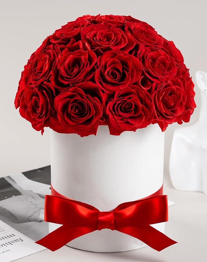 27 Forever Roses Dome in White Box, Eternal Real Roses Gifts for Women, Preserved Flowers for Delivery Prime, Anniversary, Valentine's Day, Christmas, Birthday for Her (Red)