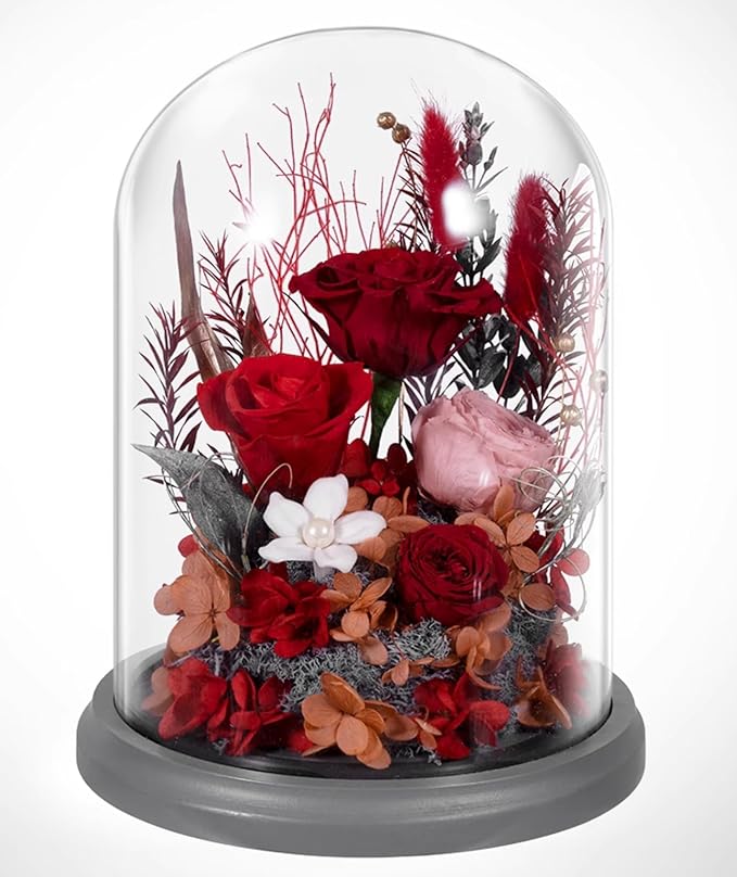 JoyFlower Preserved Flowers for Delivery, Preserved Roses Gifts for Women Her, Long-Lasting Real Flowers in Glass Dome, Unique Birthday Gifts for Girlfriend Mom Wife(Red Roses)