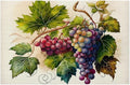 Fruit Grapes Purple Abstract Placemats Set of 4 PVC Vinyl Non Slip Table Mats Waterproof Heat Resistant Place Mats Washable Wipeable Dining Table Mat for Kitchen Party Indoor Outdoor Decorative