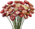 MIHUAGE Dried Flower 40PCS Daisy Bouquet 100% Natural Chrysanthemum Dry Flower for Vase Home décor Party DIY Arrangement Wheat Straw Bulk (Light Purple)