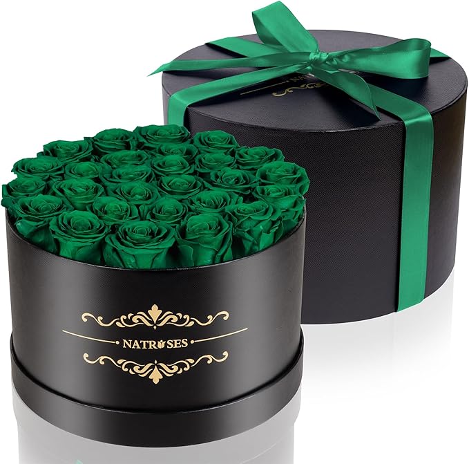 NATROSES 27 Piece Forever Preserved Roses in a Box, Preserved Flowers for Delivery Birthday, Flowers Gifts for Mothers Day, Forest Green