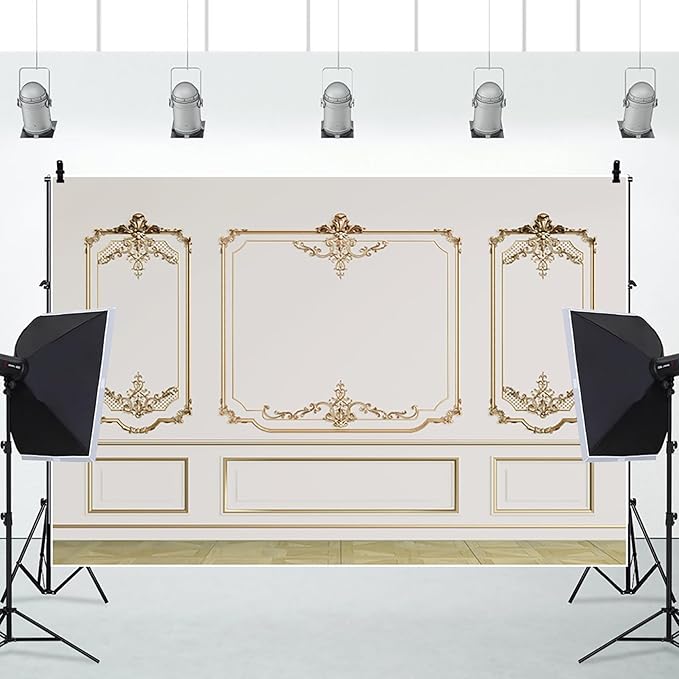 AOFOTO Vintage Room Inside Backdrop Modern French Classic Frame White Walls Gold Embossed Floral Photo Background Wedding Bridal Shower Reception Drama Portrait Photoshoot Backdrop Props 12x8ft