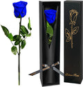 Blue Single Forever Roses in a Box,Preserved Flowers for Delivery,Preserved Rose Gifts for Women, Real Roses Gift for Her, Mom Birthday Gifts, Mothers Day Flowers,Valentines Flowers