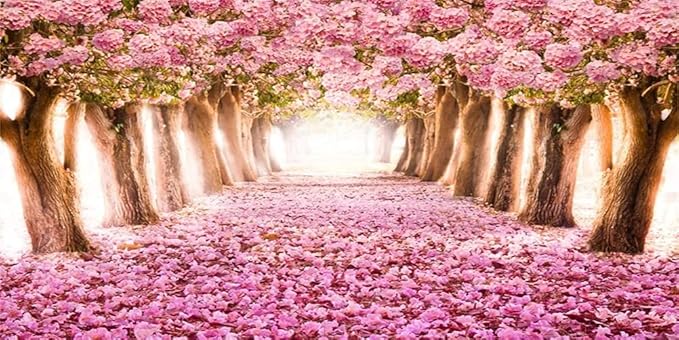 AOFOTO 15x8ft Spring Cherry Blossom Backdrop Sweet Pink Flowers Tree Floral Petal Boulevard Photography Background Baby Shower Photo Studio Props Girl Infant Adult Artistic Portrait Vinyl Wallpaper