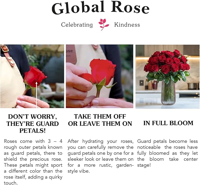 GlobalRose 75 Red Roses Bouquet - Responsibly Sourced Roses Fresh Flowers - Hand-Picked Flowers Fresh Bouquet for Mother's Day, Birthday & Special Occasions (3 Bunches of 25 Stems)