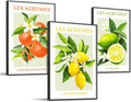 SERIMINO Fruit Botanical Wall Art for Kitchen, Lemon Prints Framed Canvas Wall Decor for Floral Dining Room Farmhouse, Watercolor Paintings Room Decor Aesthetic 3 Piece Set, 12"X16"