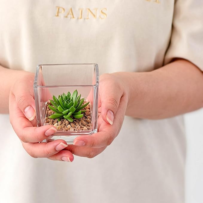 12pcs Square Glass Vases for Centerpieces, 3.15" Clear Short Glass Vase Cube Plant Terrarium, Candle Holder for Wedding Centerpiece, Office Decorations, Home Décor, Parties