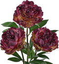 Briful 3PCS Faux Peony Flower Stems, 25.5" Artificial Peony Flowers Realistic Fake Flowers for Vase Arrangements Wedding Centerpieces Decoration(Dark Mauve)