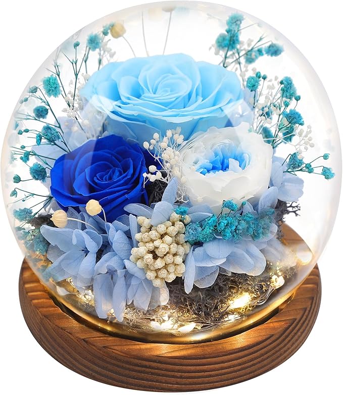 Preserved Flowers,Rose in Glass Dome with LED Light, Gifts for Her, Women, Mom,Grandma,Girlfriend, Wife - Style6