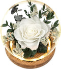 Preserved Roses & Fresh Flowers Bouquet – Gift for Women, Roses That Last Forever, Flowers for Delivery Prime, White Roses – Birthday, Mother’s Day & Christmas