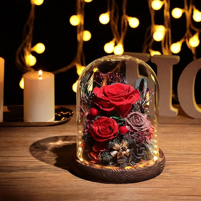 Flowers for Delivery Preserved Rose Gifts for Her,Long-Lasting Real Roses Flowers in Glass Dome,Birthday Gifts for Women Mom Wife Friend(Red Rose)