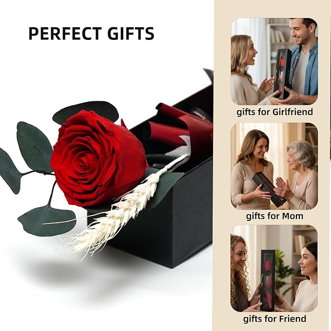 Forever Flower, Preserved Rose Birthday Gifts for Women, Her, Wife, Mom, Prime Eternal Roses Gifts for Mothers Day, Valentines Day, Anniversary, Graduation, Wedding, Single Rose Real Rose (Red)