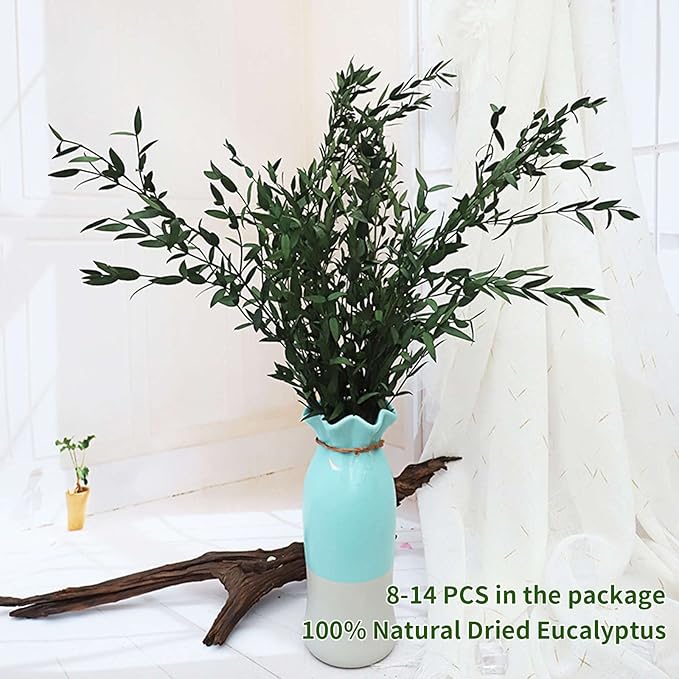 Dried Eucalyptus Leaves Preserved Greenery Stems, 8-14 PCS Eucalyptus Garland Branches, 4 OZ Green Leaves Plant Bundle for Wedding Wreath Party Home Decor Vase Filler